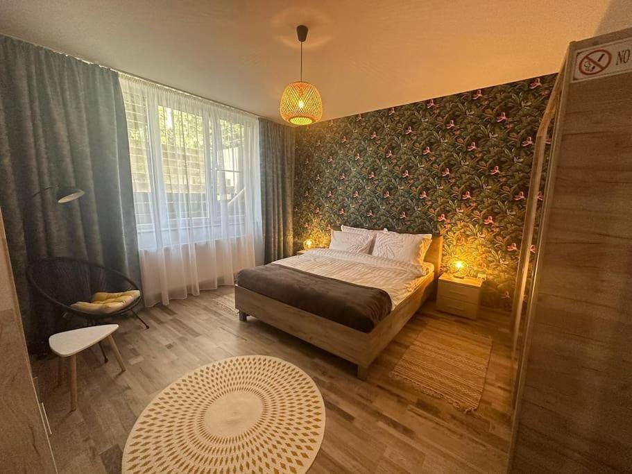 Newlevel Studio Braşov Extérieur photo